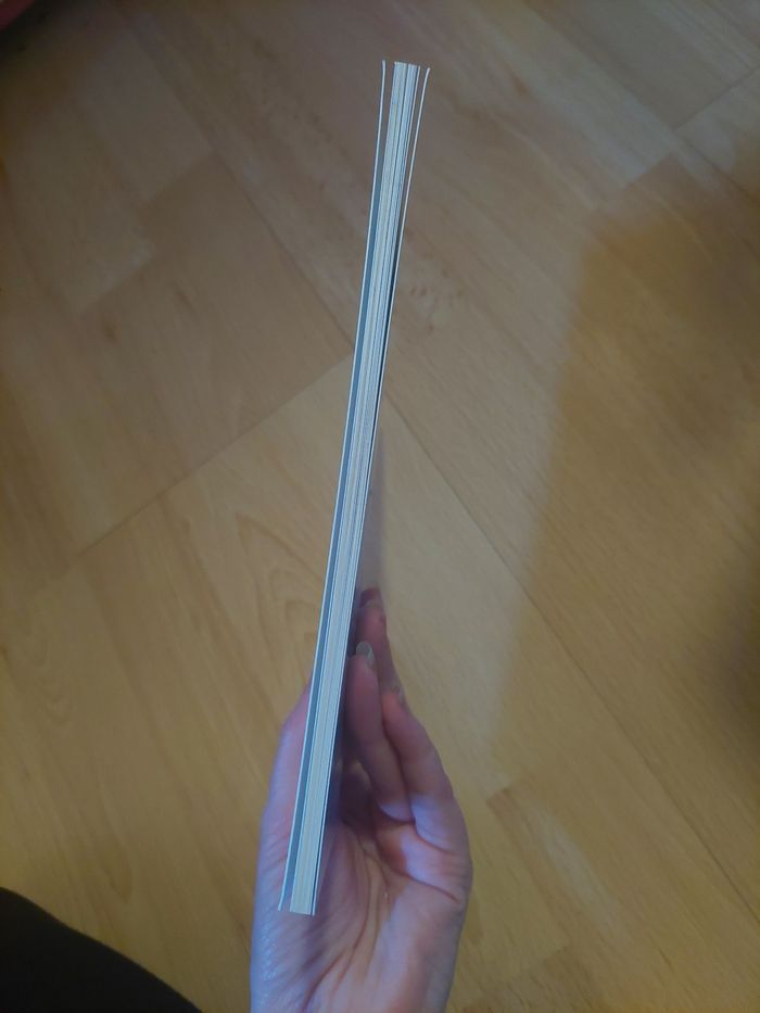 Livre "le principal problème du prince Prudence" L'école des Loisirs BE 🤴 - photo numéro 4