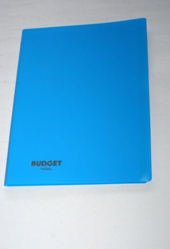 Porte-vue Budget de chez Lyreco 50 pages