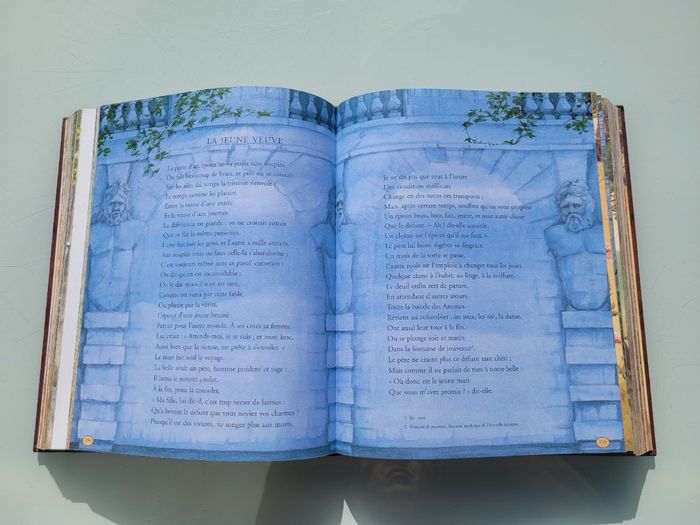 Superbe livre 🐇 Les Fables de la Fontaine 🐢 L'intégrale, Pierre de soleil - photo numéro 5