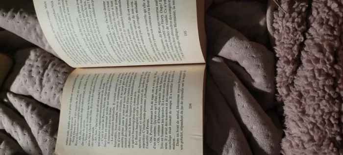 Harry potter et la coupe de feu - photo numéro 4