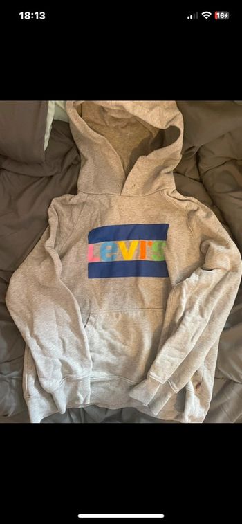 Sweat à capuche Levi’s gris unisexe 🌈 logo coloré vintage