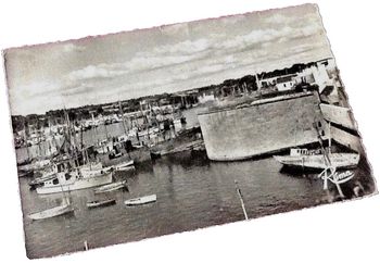 Carte postale ancienne Concarneau (Finistère) Un coin du port
