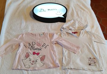 Lot 2 tee-shirt manches longues 24 mois