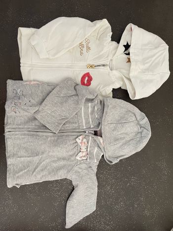 Lot 2 gilets à fermeture éclair