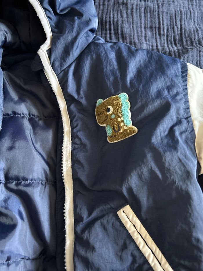 Veste dinosaure - photo numéro 2