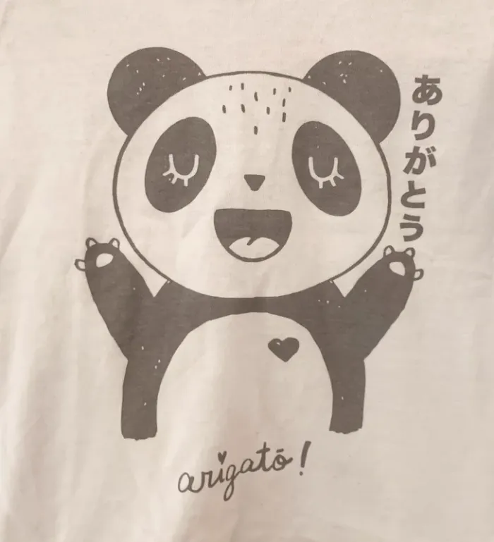 🐼 T-shirt manches longues – Panda - 9 mois - photo numéro 2