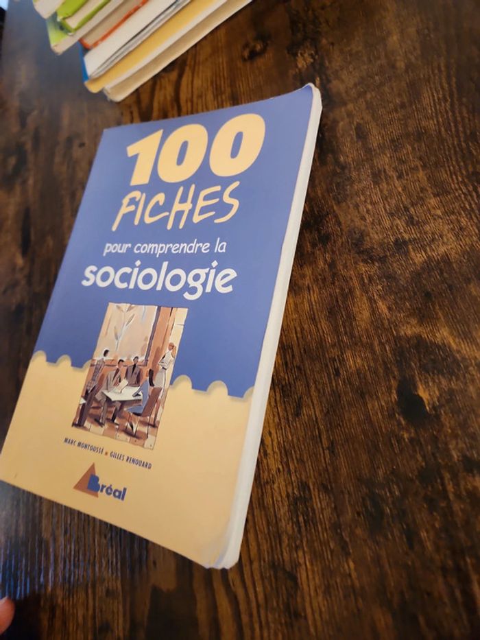 Livre : 100 fiches pour comprendre la sociologie - photo numéro 3