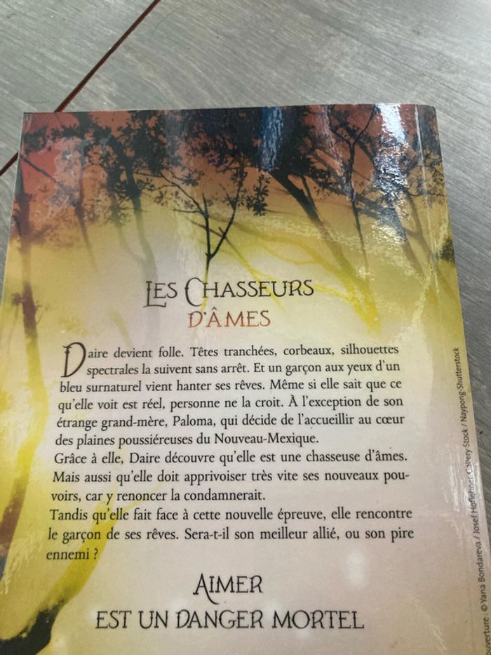 Les chasseurs d’âmes tome 1 - photo numéro 3