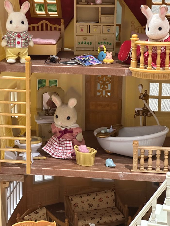 Grande maison avec sa pièce secrète - photo numéro 10