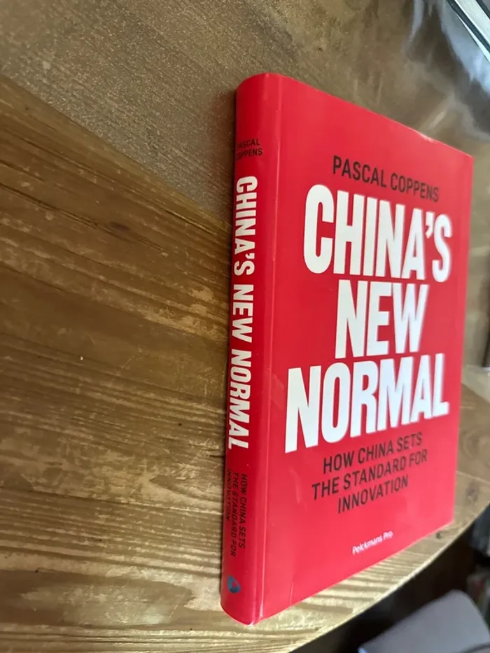 Livre china ´ s new normal - photo numéro 2