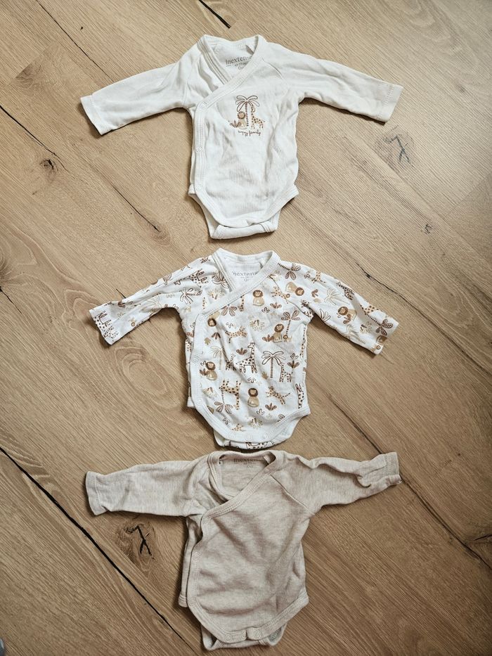 Lot 6 bodies