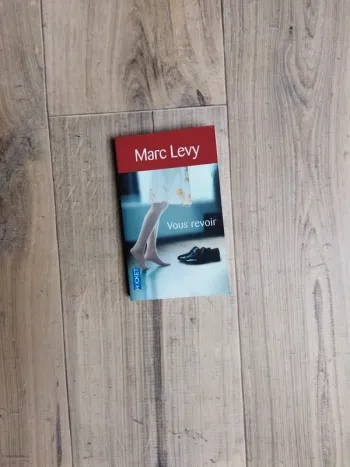 Marc Lévy Vous revoir