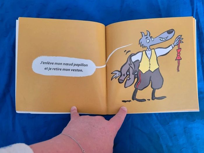 Album / Livre - photo numéro 3