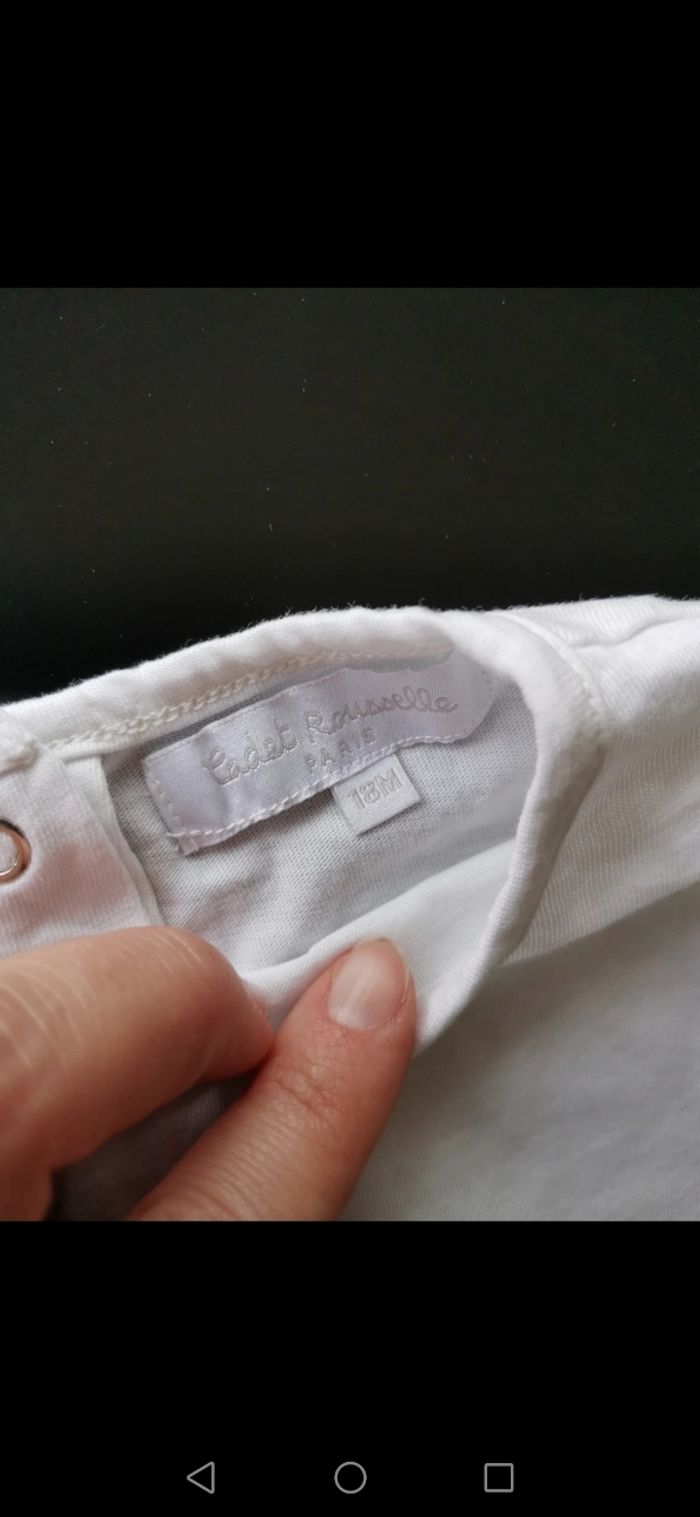 Haut ours 🐻 - photo numéro 3