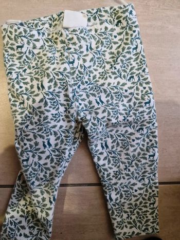 Leeging c et a 9 mois blanc et vert