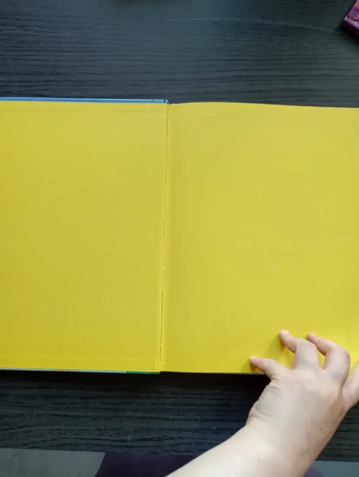 Le vilain petit canard. - photo numéro 3