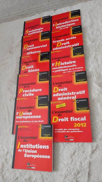 Lot de 11 livres de droit " Les carrés " l'essentiel du droit de