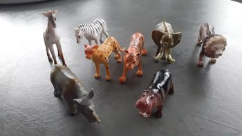 Figurines savane