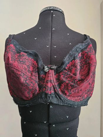 Joli soutien-gorge 105E RougeGorge