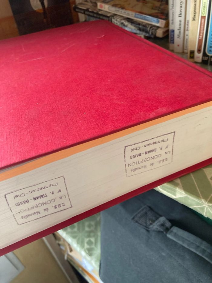 Vidal 2004 - photo numéro 5