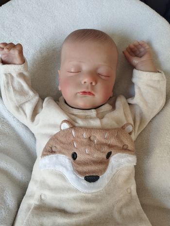 Bébé reborn