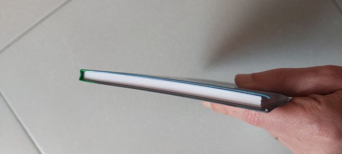 Chasseurs de trolls tome 3 La vengeance des gobelins - photo numéro 5