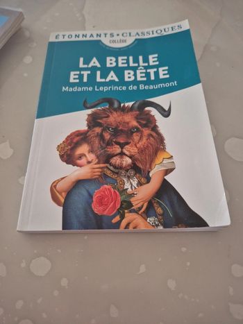 Livre la belle et la bête