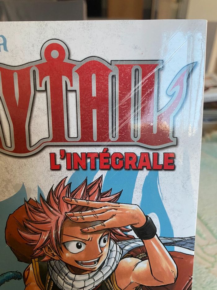 Fairy Tail grand format - photo numéro 3