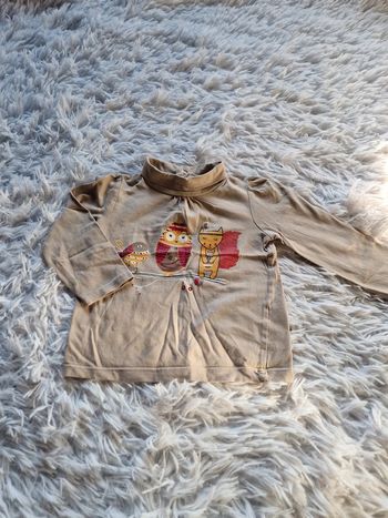 Sous pull , col roulé