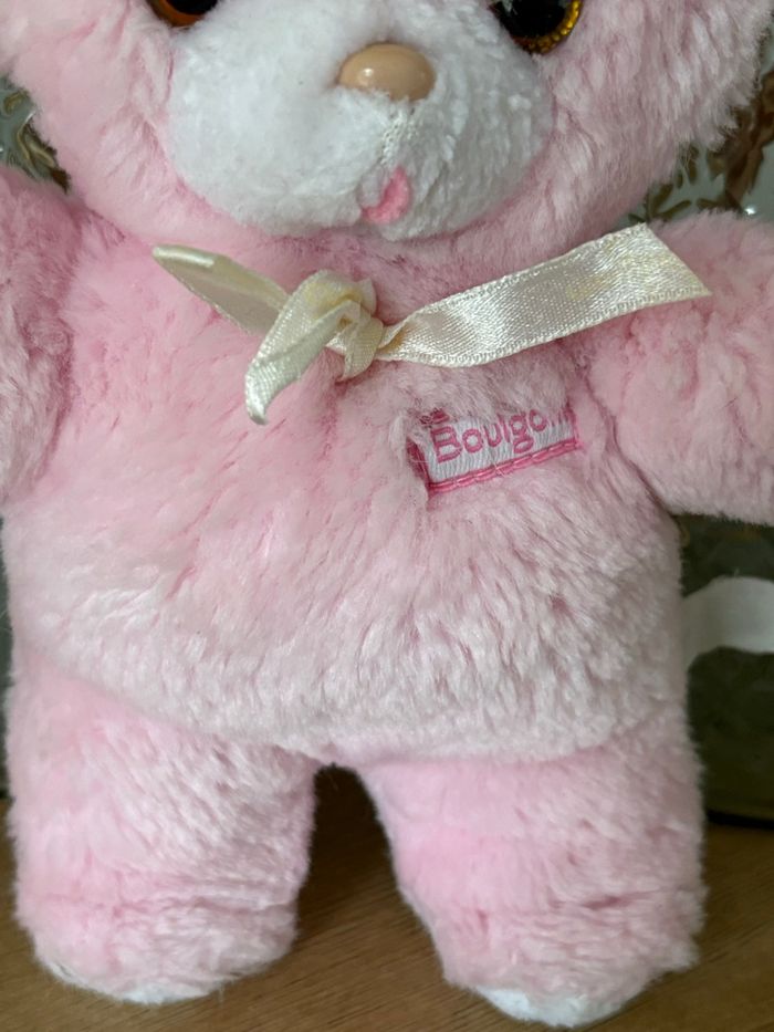 Ours Boulgom - photo numéro 2