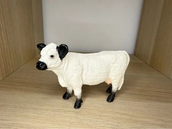 Vache galloway schleich