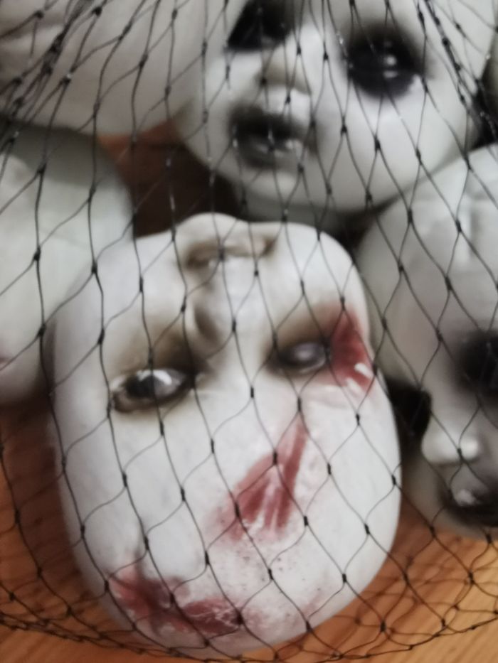 Tête de morts Halloween - photo numéro 2