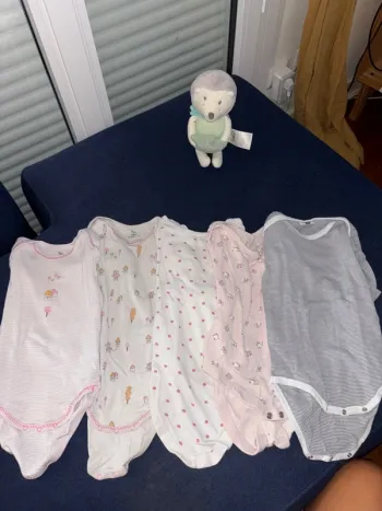 Lot 5 bodies tex