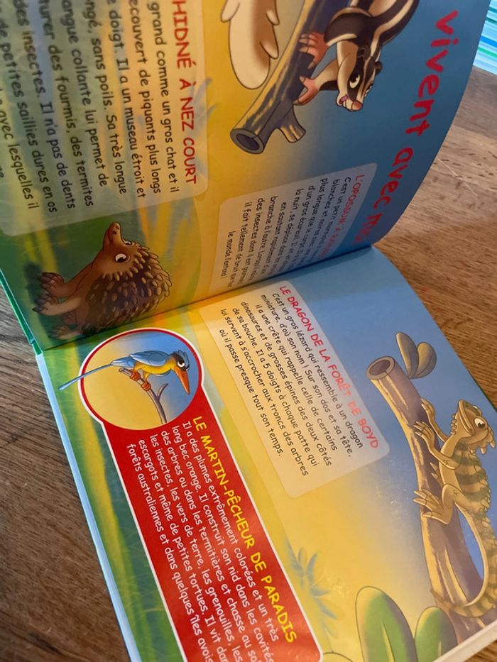 Livre Altaya Le monde des animaux Sauvages Animaux de la forêt Le casoar - photo numéro 7