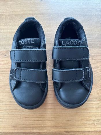 Lacoste - T20.5