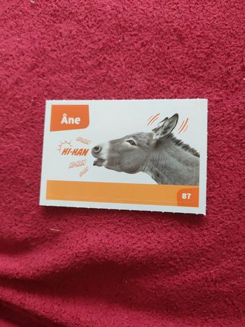 Autocollant nos amies les bêtes