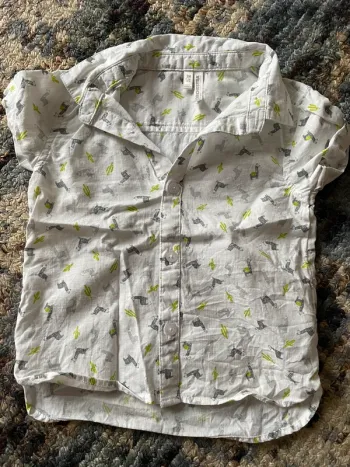 Chemise