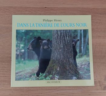 Dans la tanière de l'ours noir - l'école des loisirs / Archimède