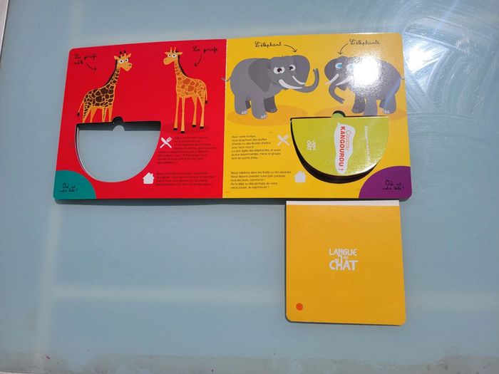 Livre surprise grand format 🦘 Coucou Kangourou ! 🦘 éditions langue de chat - photo numéro 8