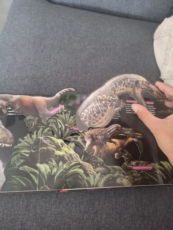 Lot de 3 livres dinosaures - photo numéro 5