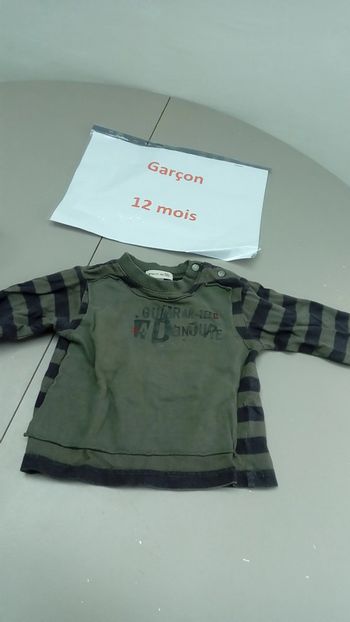 Lot de 3 T.shirt