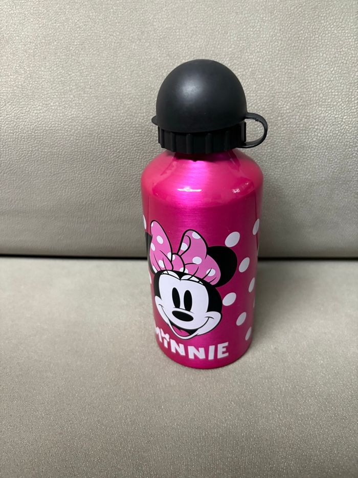 Gourde Minnie - photo numéro 2