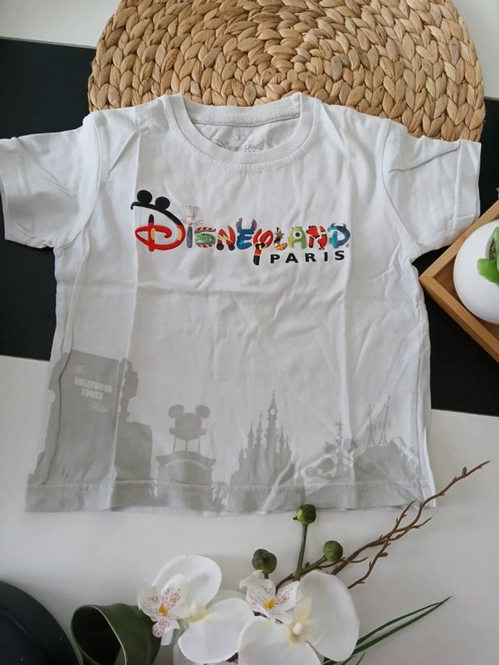 Haut d'été garçon Disneyland Paris Taille 2 ans🌿🦁 - photo numéro 4