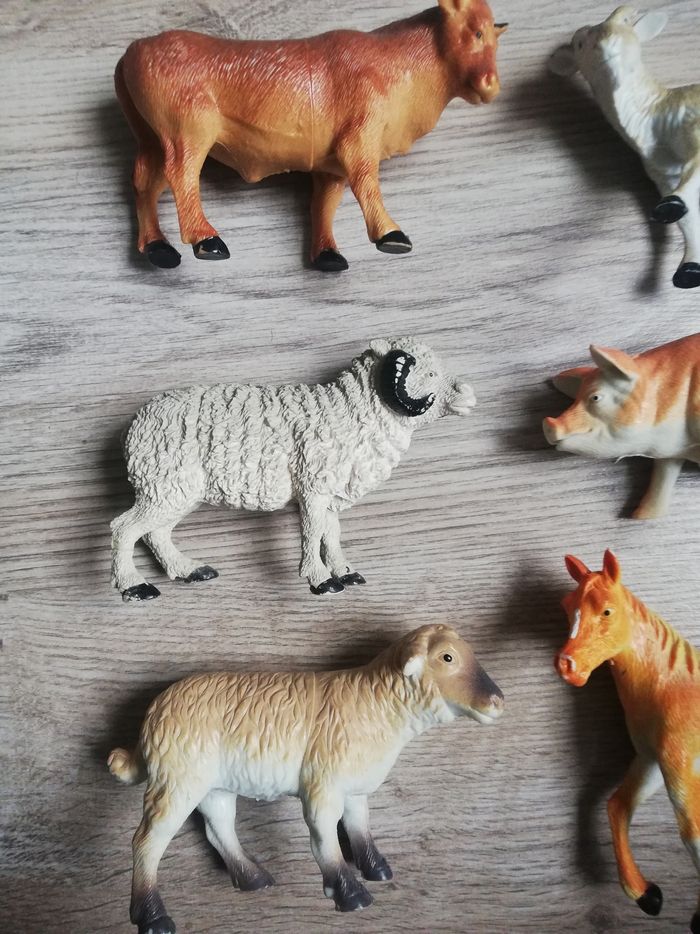 Animaux de la ferme - photo numéro 2