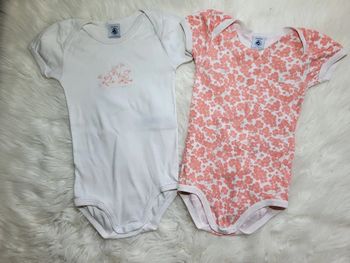 Lot 2 bodies 24m