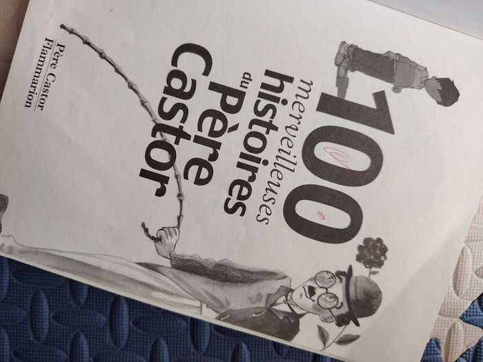 Livre d'histoire - photo numéro 3