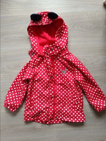 Parka Minnie orchestra 