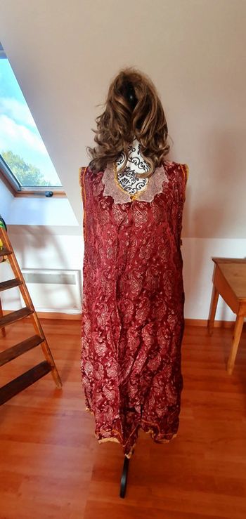 Déguisement  robe et perruque