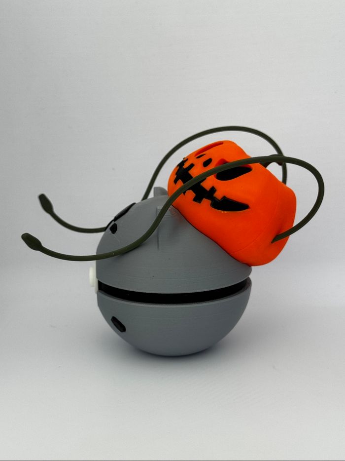 Pokeball bulbizard Halloween - photo numéro 4