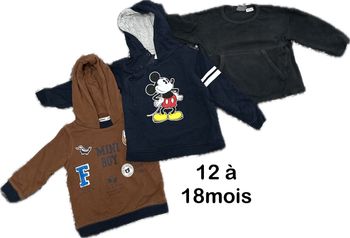 Lot de sweat  12 à 18mois
